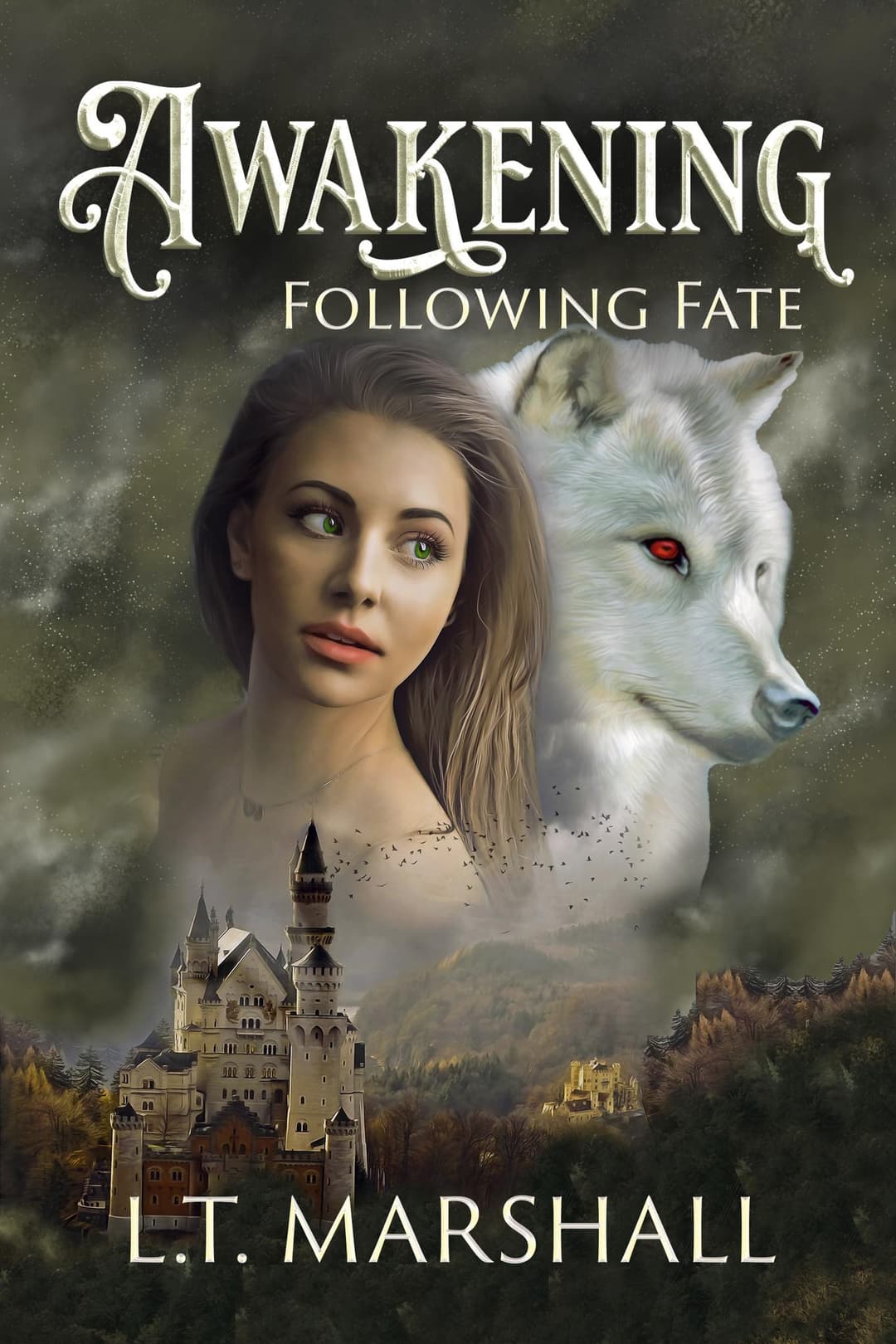 Awakening- Following Fate (Book 2) cover