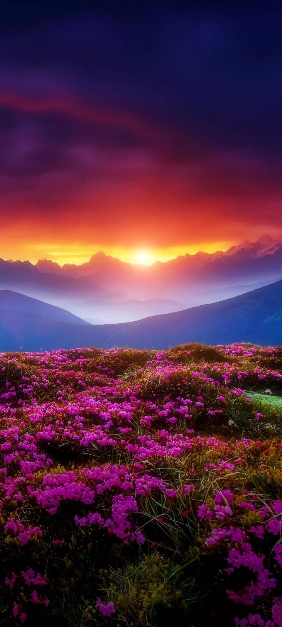 Blossoming Spring Days cover