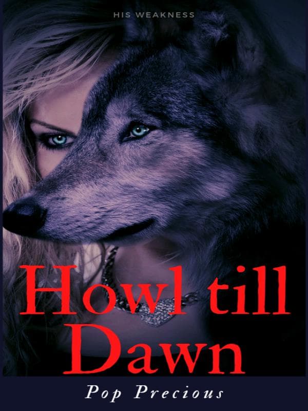 HOWL TILL DAWN cover