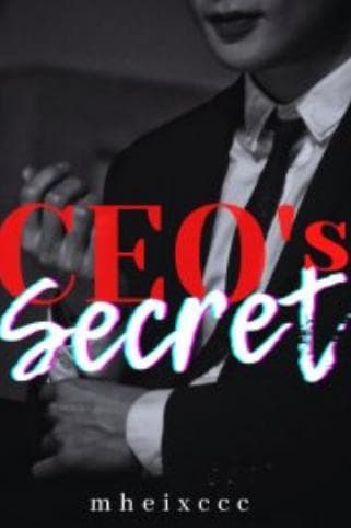 The CEO's Secret cover