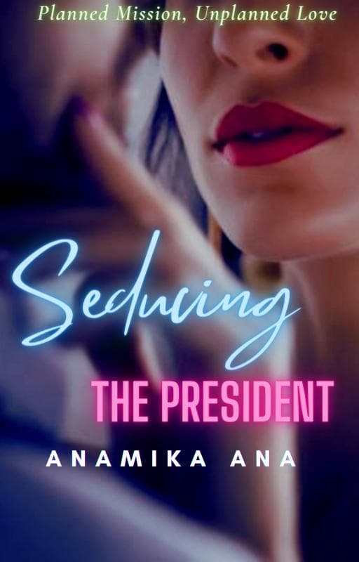 Seducing The President cover